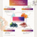 Японский комплекс витаминов для глаз AXXZIA Venus Recipe Berry Eye