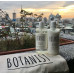 Японский шампунь и кондиционер для лечения волос BOTANIST Smooth 
