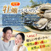 Экстракт устриц от Setouchi Alcohol Care Pure Oyster EX 18000 мг
