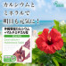 Коралловый кальций с мультиминералами Coral calcium multimineral Lipusa